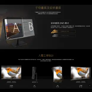 ASUS 華碩 ProArt PA32UCX-PK 4K 32型HDR IPS Mini LED 專業螢幕顯示器 含顯示