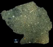 NWA 14468 Carbonaceous Meteorite (CVox3) ~ 202 g ~ End-Cut ~ EXCEPTIONAL!