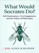 What Would Socrates Do? ― Self-examination, Civic Engagement, and the Politics of Philosophy