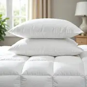 Goose Feather & Down Quilt 500GSM + Pillows 2 Pack Queen White