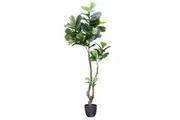 Glamorous Fusion Fiddle Leaf Tree Artificial Faux Plant Decorative 195cm
