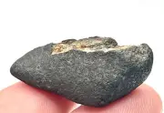 CHELYABINSK 8.24g Meteorite, 75% crusted individual, Witnessed Fall IMCA Sellers