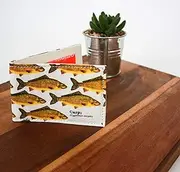 Gift Republic Ecologie Carp Travel Card Holder