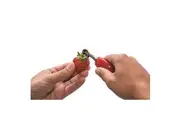 Joie Strawberry Slicer & Huller