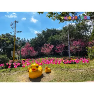 【就是要玩】小叮噹科學園區 主題 樂園 門票【可刷卡可統編】平日 假日 大人 小孩 通用 多啦a夢樂園 新竹 樂園