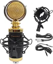 Rockville Rcm02 Pro Studio Recording Condenser Microphone Mic/Metal Shock Mount