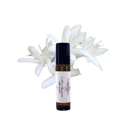 Coffee Blossom Absolute Pre-diluted Roll-On, Certified Organic, Natural