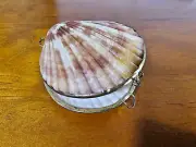 Natural sea shell Trinket Box Brass Hinged Shell Clam coin purse Jewelry box AU