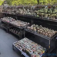 在飛比找蝦皮購物優惠-附發票~ 展示架 多肉花架 不銹鋼戶外陽台庭院簡約多肉多層室