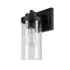 Globe Electric Axel 1-Light Outdoor Indoor Wall Sconce Matte Black Seeded Glass