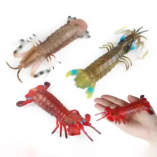 仿真固體海洋生物模型皮皮蝦螳螂蝦耙兒童科學教育玩具