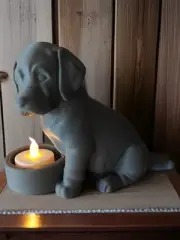Labrador's Little Light