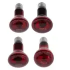 Glass Reptile Infrared Heat Light Bulb Lamp Heater Terrarium Lizard Screw-In