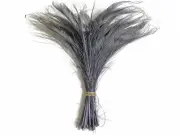50 Pieces - SILVER GREY Bleached Peacock Swords Cut Wholesale Feathers (bulk)