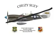 WW2 P-40N Warhawk "SUZY" 11 X 17 print