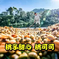 在飛比找Yahoo!奇摩拍賣優惠-衣索比亞 桃子甜心/桃可可