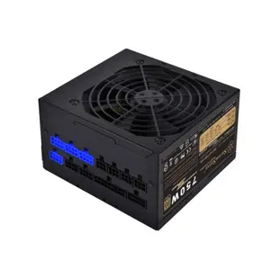 SilverStone 銀欣 ST75F-GS 750瓦 金牌 全模組 電源供應器