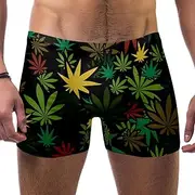 [VBFOFBV] Men's Printed Jammer Swimsuit Swim Shorts, Marijuana Leaf Pattern Tropical Plant Art Modern