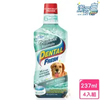 在飛比找momo購物網優惠-【美國潔牙白Dental Fresh】一般版潔牙液 237m