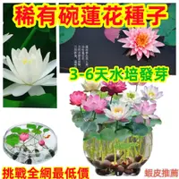 在飛比找蝦皮購物優惠-💥💥【免運大熱銷】荷花蓮花碗蓮46種荷花/蓮花種子四季播種水