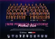 AFL FREMANTLE DOCKERS TEAM POSTER,Football, demons, cats dogs lions eagles tiger