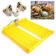 (110V)132X Eggs Automatic Egg Turner Turning Tray For Automatic Egg Incubator US