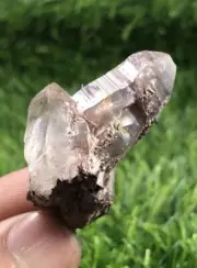 Natural rare small sized rutile var. Sagenite included Quartz