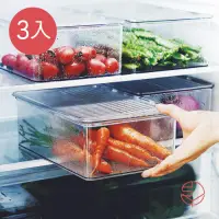 在飛比找Yahoo奇摩購物中心優惠-日本霜山 掀蓋式層疊PET耐凍冰箱蔬果生鮮收納盒-3入