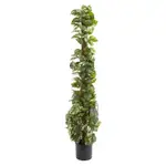 [Florabelle Living] Pothos Vines on Coconut Pole 1.5m