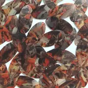 Sequin Oval 1.5" Orange Silver Bird Feathers Print Metallic