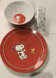 Pottery Barn Kids Thanksgiving PEANUTS SNOOPY 3 Pc DINING SET ~Plate ~Bowl ~Cup