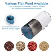 Fish Dispenser Automatic Feeder For Healthy Fish and Shrimp Health Growth
