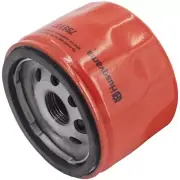 798576 Filtro Olio Engine Briggs & Stratton Vanguard Intek Premium Ø76 H55
