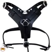 NA Medium HILASON Leather Dog Harness Padded Genuine Matching Leash Medium