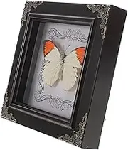 Toyvian Real Butterfly Specimen Frame Vintage Butterfly Display Art for Home Decor for present Giving and Wall Accent Natural Style for Living Space
