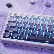 PBT Doubleshot Keycaps 133 Keys Gradient Purple Backlit OEM Profile Keycaps Side Print Shine Through Custom Keyboard Key caps Set for 60% 65% 75% 100% Cherry Gateron MX Switches Mechanical Keyboard