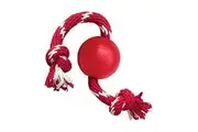 Small Ball with Rope, Dog Toy