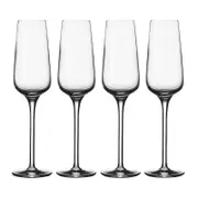 Villeroy & Boch Voice Basic Champagne Flutes, Set of 4