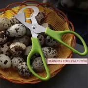Stainless Steel Quail Egg Scissors