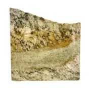 8 x 7 x 1" Countertop Scrap Natural Marble Slab 6 lb 10 oz Gold Rust Feldspar