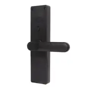 WiFi Door Lock Fingerprint Password IC Card Key Rechargeable Double Tongue WTD
