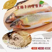 在飛比找蝦皮購物優惠-帶卵母香魚5隻/盒【鼎鮮市集】超商取貨🈵1200免運 黑貓宅