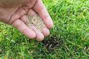 Water-Less Lawn Seed Blend 4kg