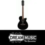Ibanez AEG5012 BKH 12 String Acoustic Guitar - 6043284