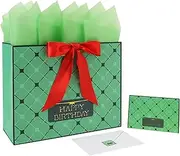 13” Large Green Birthday Gift Bag Set with Handles, Greeting Card, Tissue Papers and Stickers for Women Men Girls Boys Kids Teens, Birthday Design, 1 Pcs