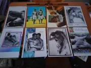 Subject: Nudes--Greeting Cards- Gay Interests- Set Of 10