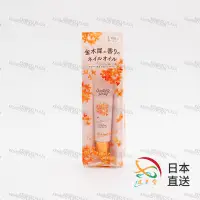 在飛比找蝦皮購物優惠-【次日出貨】VECUA Honey Wonder Honey