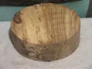 SPALTED HACKBERRY 10X3 TURNING WOOD BOWL BLANK
