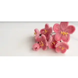 組合 10 件美麗的天鵝絨桃花胚胎客戶自去樹枝