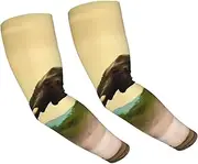 [FHEDVBN] Africa Elephant Arm Sleeves Compression Arm Covers for Men Women Outdoor Sun Sleeves Cooling Sports Sleeve, Black